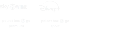 Logotypy platform streamingowych: SkyShowtime, Disney+, HBO Max, PolsatBox GO Premium, PolsatBox GO Sport